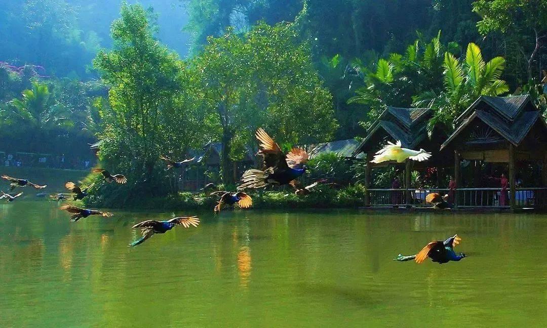 发现之旅